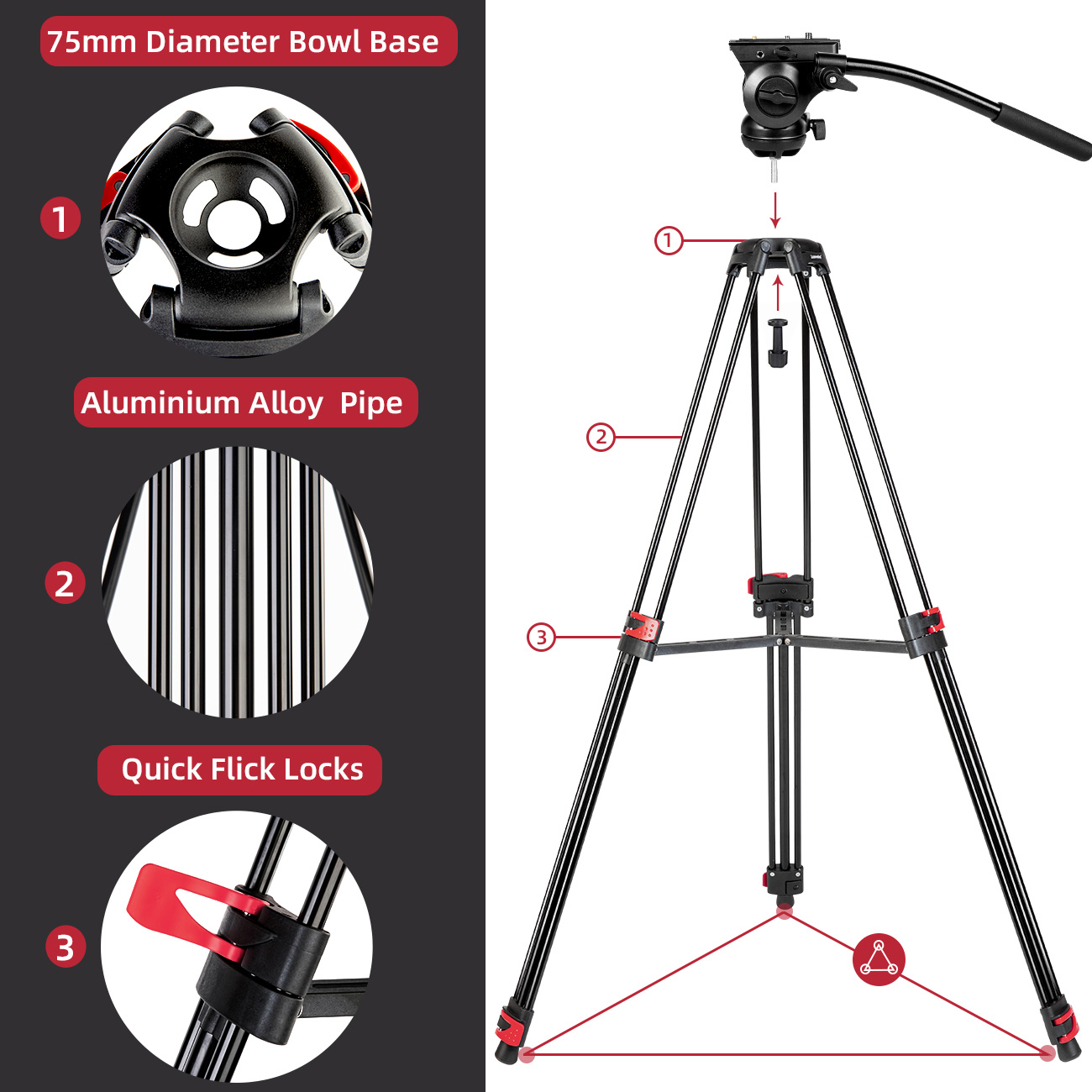 Professional Photography Camera Tripod Foldable Travel Large Aluminum Tripod for DSLR/Mirrorless/iPad/Mobile Phone/Video