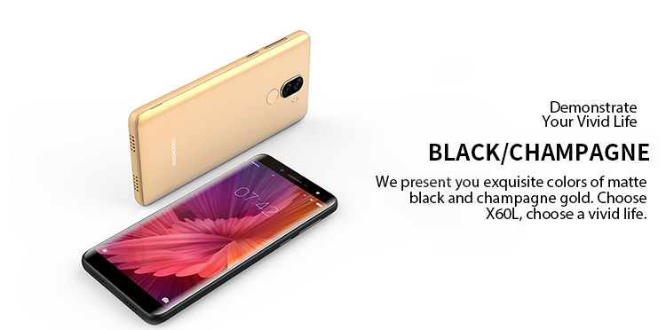 DOOGEE X60L 2GB RAM 16GB ROM MTK6737V 1.3GHz Quad Core 5.5 Inch 2.5D Screen Dual Camera Android 7.0 4G LTE Smartphone